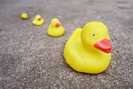 four yellow rubber duckies on ground during daytime