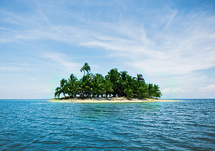 island with palm trees under blue sunny sky