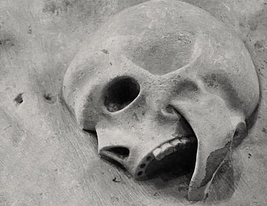 close up photography of skull on concrete