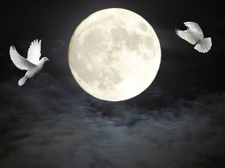 two doves flying near full moon