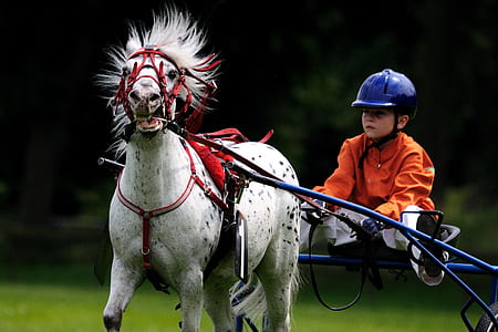 boy in orange long-sleeved shirt and blue helmet riding horse carriage