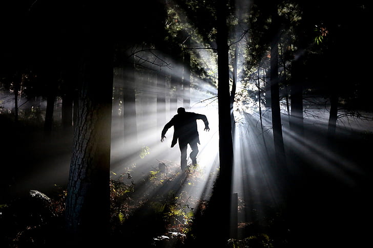 crepuscular light passing through human figure in tree forest