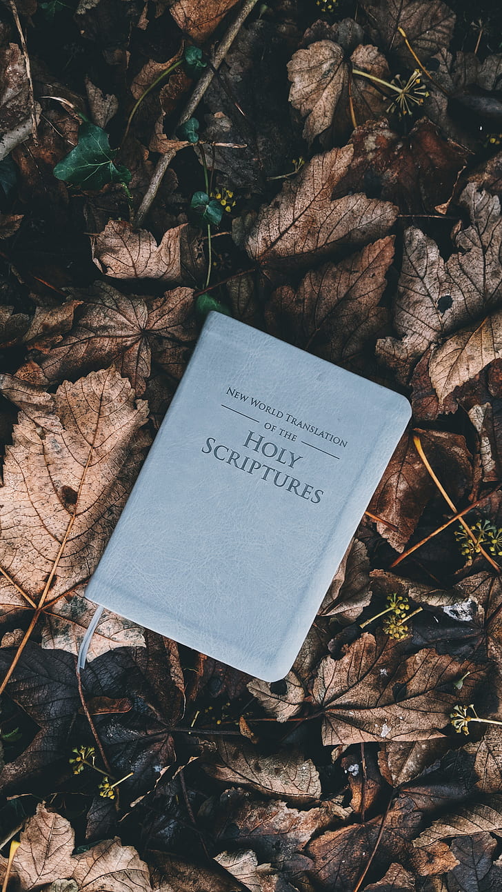 Holy Scriptures book on ground with dried leaves