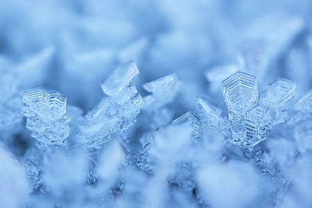 selective photography of snowflakes