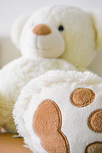 White and Brown Bear Plush Toy Selective Photo