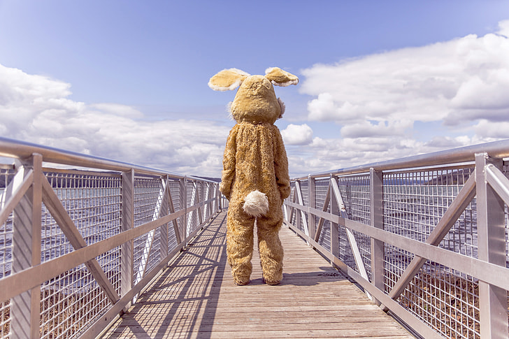 person in costume standing on bridge