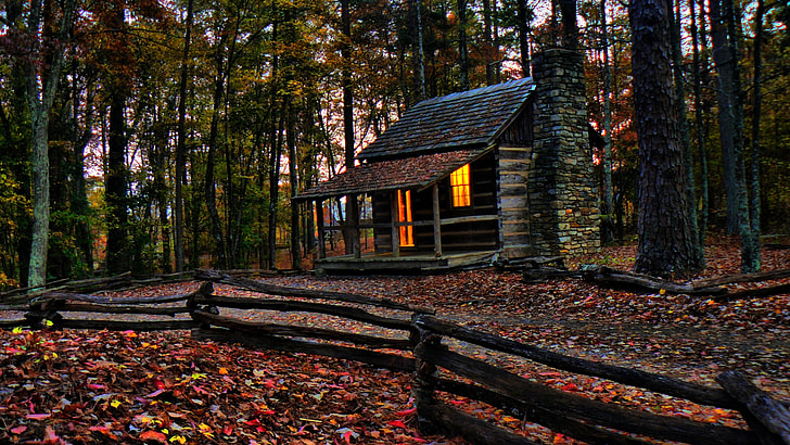 lighted brown house in the forest