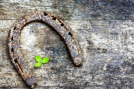 brown horse shoe on brown wooden board