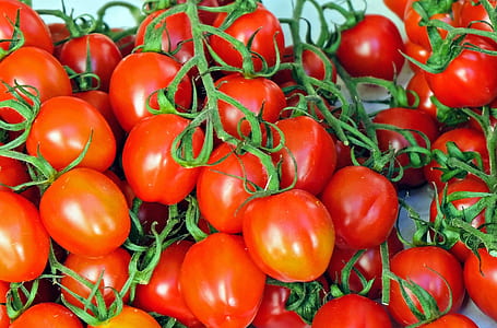 photo of bunch of red tomatoes