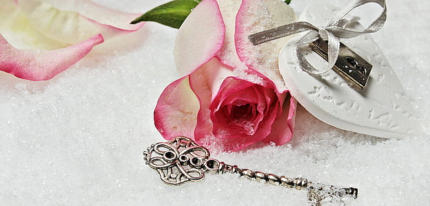 pink rose and silver key in snow