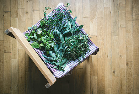 Drying herbs at home