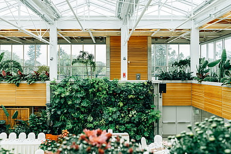 garden in green house