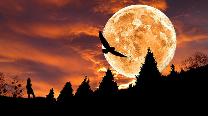 silhouette of bird during red moon