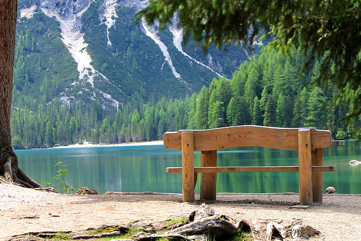 brown wooden bench surrounded by body of water