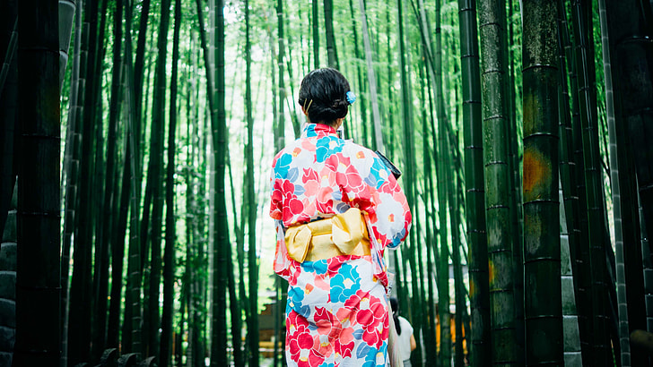 back view of a woman in pink, red, white and blue floral japanese suit surrounded by bamboos photo