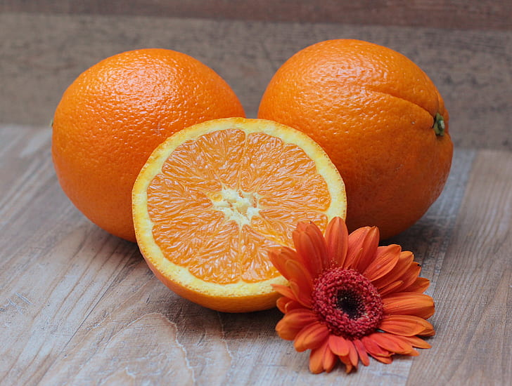 sliced orange fruit beside orange daisy flower