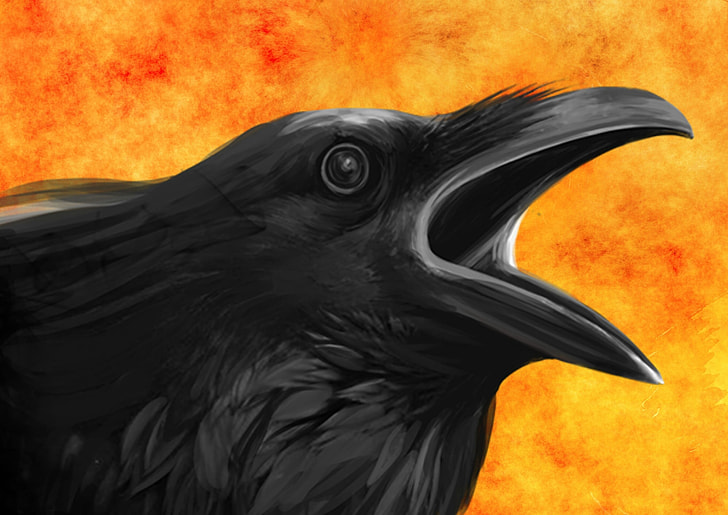 raven with yellow and orange background