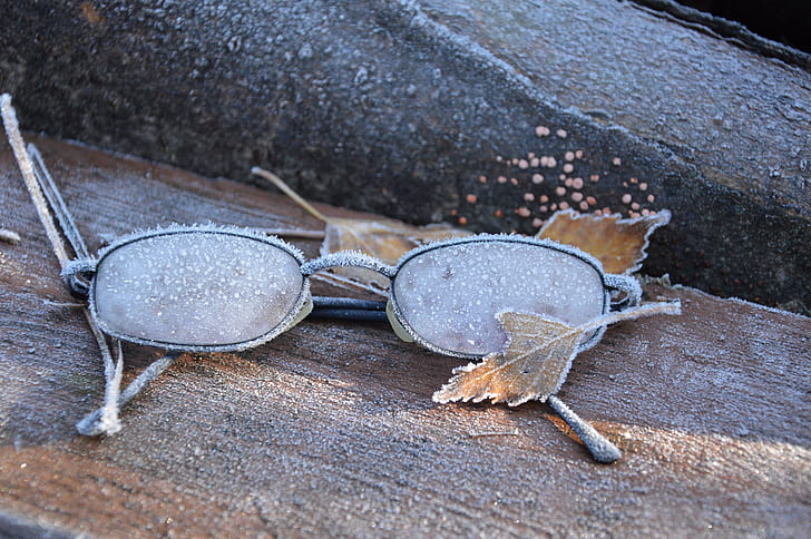 gray eyeglasses