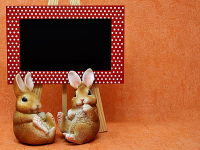 photo of two brown bunny beside easel with board