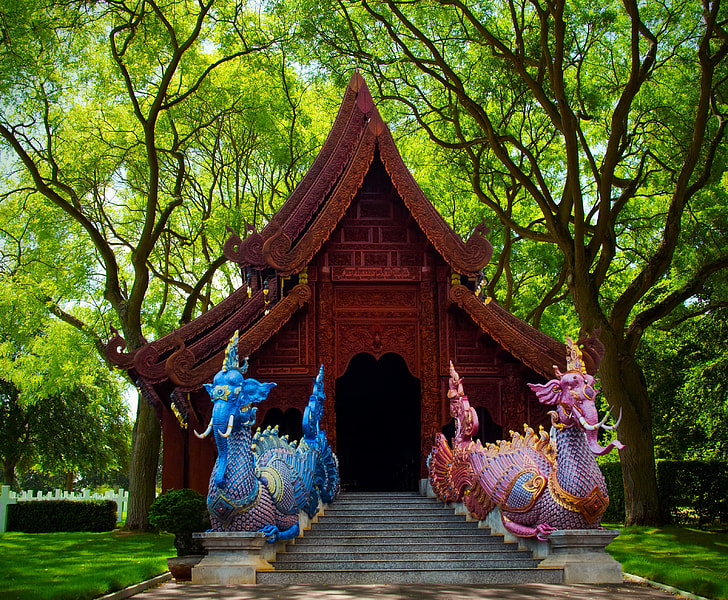 two blue and pink dragon decor photo