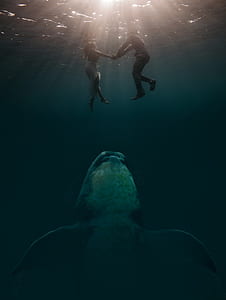couple underwater shot
