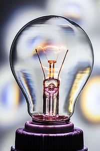 purple Edison bulb