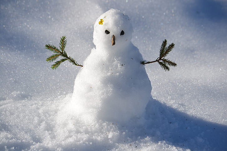 snowman photography