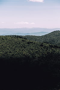 green forest mountain view during daytime