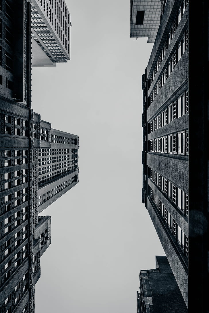 greyscale worm's eye view of high rise buildings