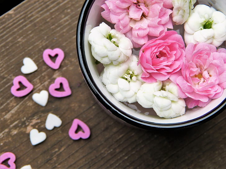 bowl of white and pink petaled flowers