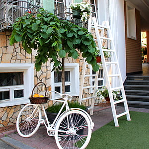 White Step Through Bicycle Leaning Beside Tree Plant