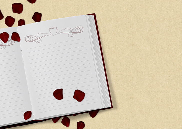 white ruled book with red flower petals
