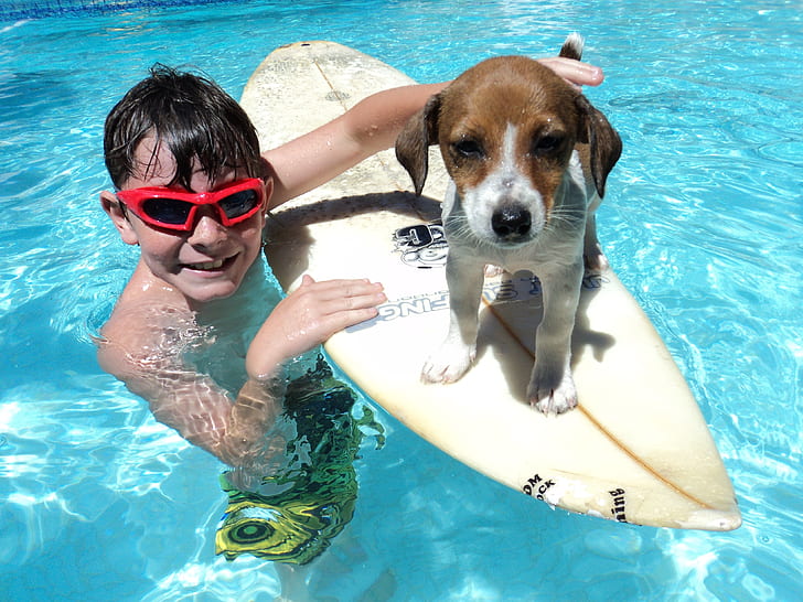 boy with tan and white puppy on surf board