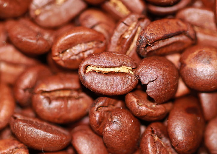 macro shot photography of black coffee beans