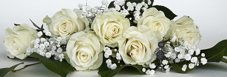 white roses and baby's-breath flowers in bloom