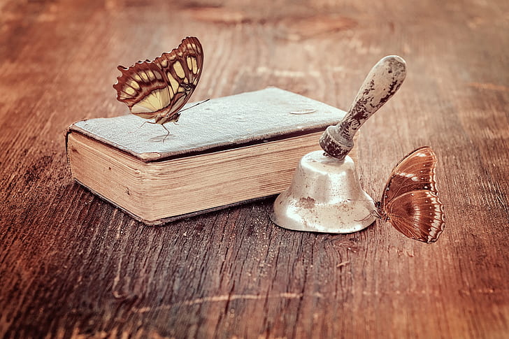malachite butterfly on book and brown butterfly on grey hand bell