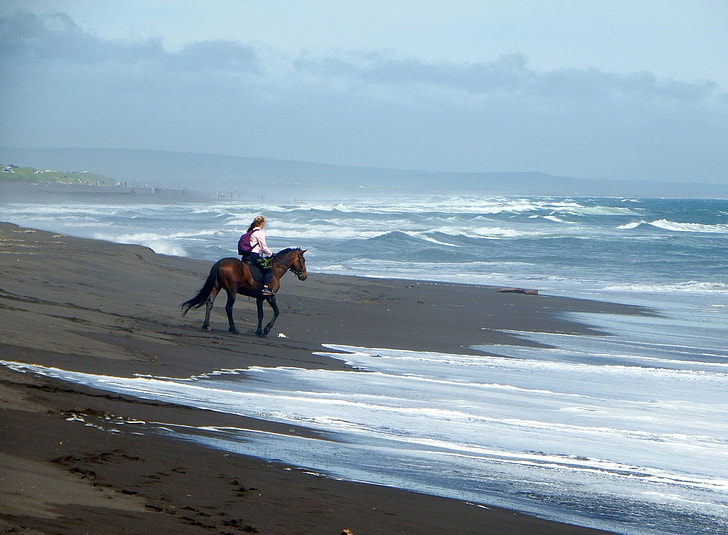 woman riding brown horse on beach during daytime