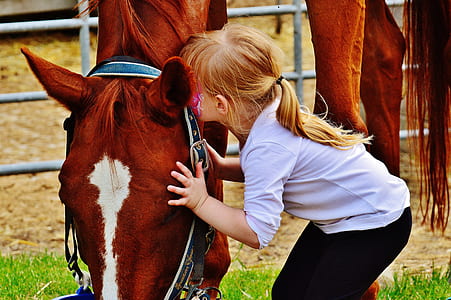 girl kissing brown and white horse