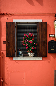 red flowers on window