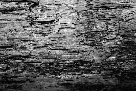 grayscale photo of wood