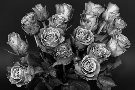 grayscale photo of rose flower bouquet