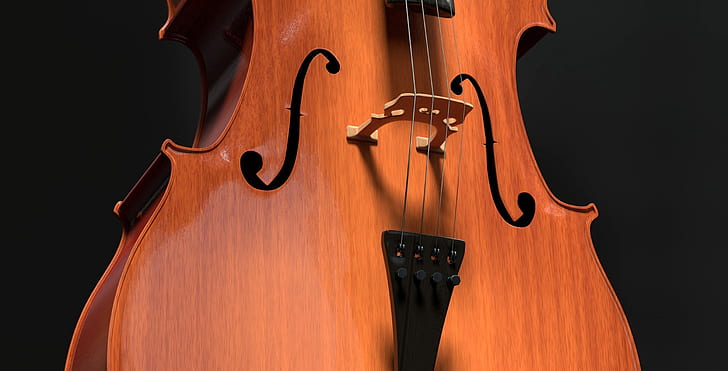brown cello string instrument