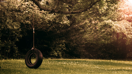 swinging tire under tree during daytime