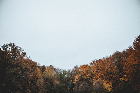photography of man wearing black bubble jacket near tall trees under cloudy sky