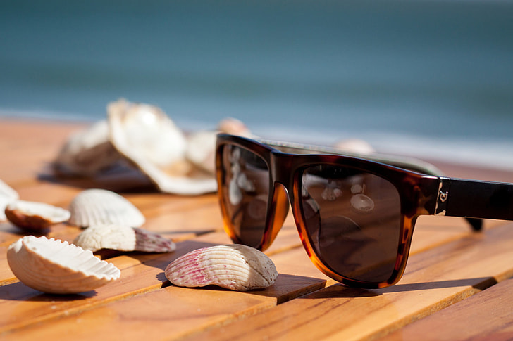 Sunglasses sit of the table beside sea shells on the coast