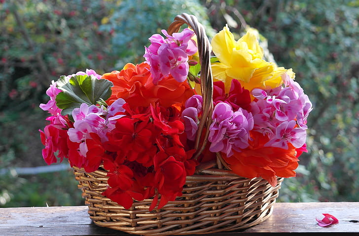 wicker brown basket with red, purple, and yellow flowers