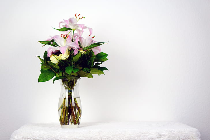 pink and white flower in clear glass vase on white towel