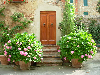 brown wooden door beside plants with flowers during daytime