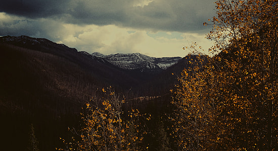 brown rocky mountain behind yellow and green leaves tree