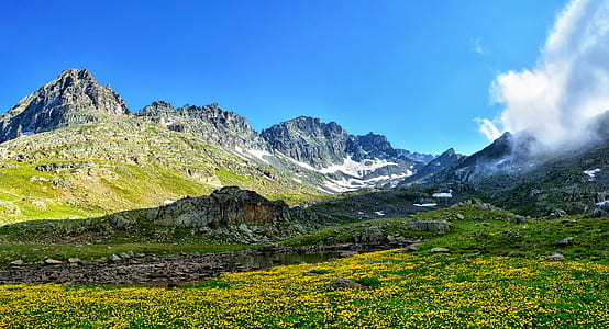 photo of grassy mountain